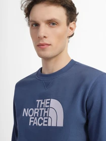 Худі та світшоти The North Face Drew Peak Crew модель NF0A4T1EHDC1 Фото
