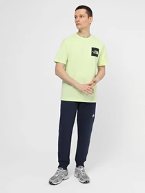 Брюки The North Face M Nse Light Pant модель NF0A4T1F8K21 Фото
