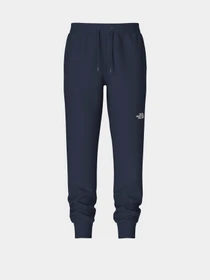 Брюки The North Face M Nse Light Pant модель NF0A4T1F8K21 Фото