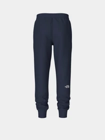 Брюки The North Face M Nse Light Pant модель NF0A4T1F8K21 Фото