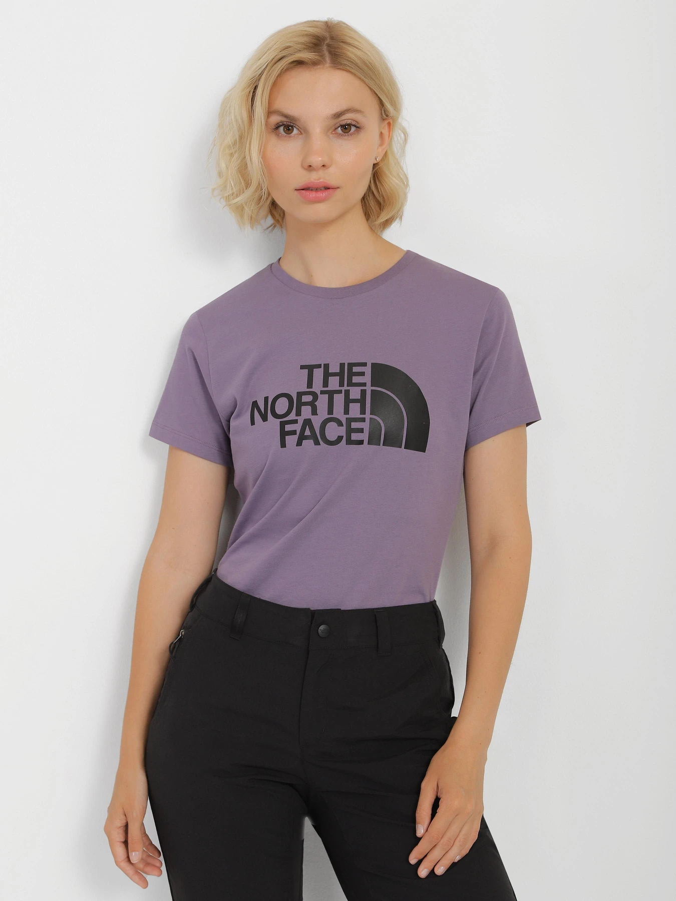 Футболки и поло The North Face Easy модель NF0A4T1QN141 Футболки и поло The North Face Easy модель NF0A4T1QN141 Фото
