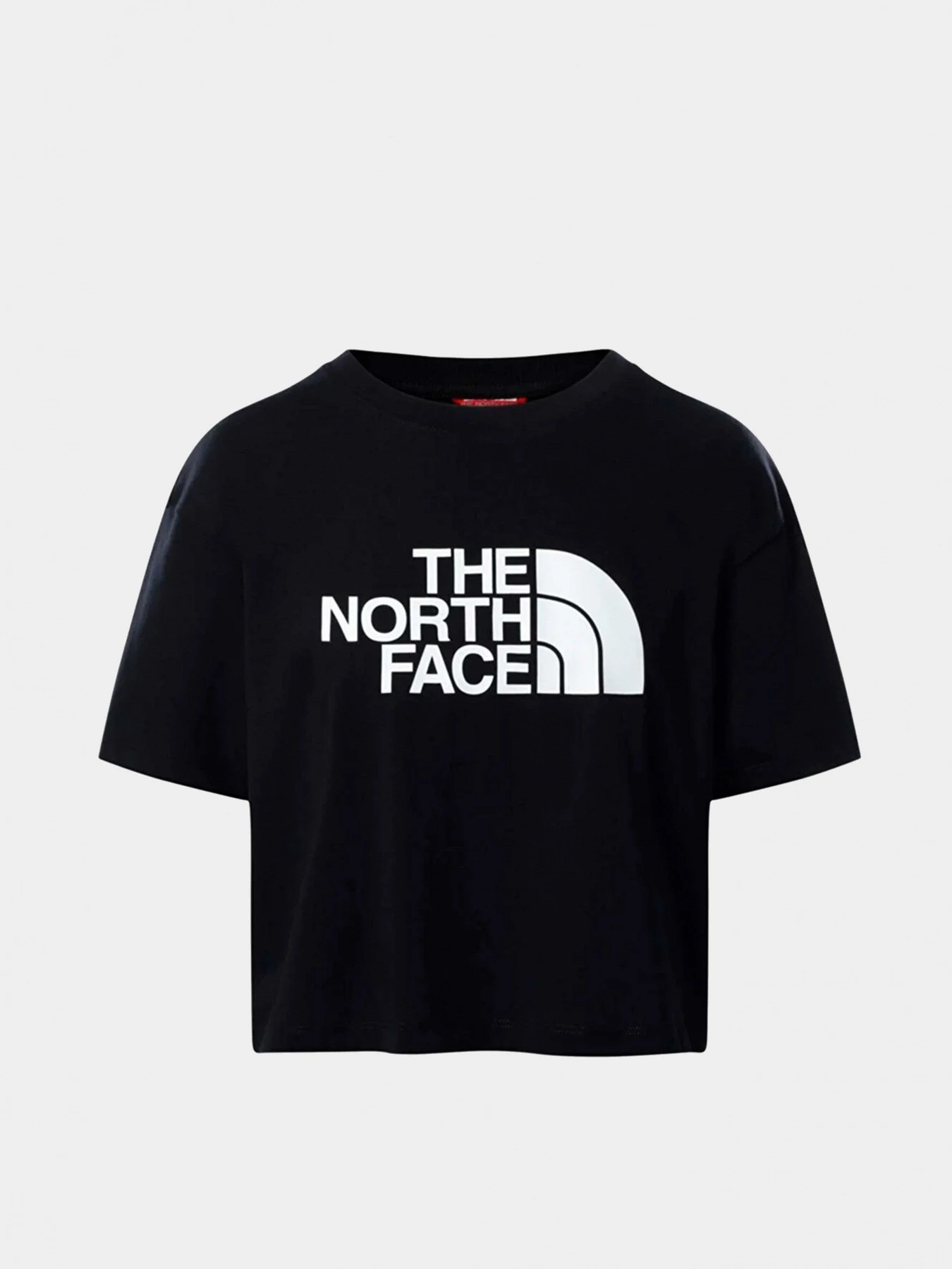 Футболки і поло The North Face Easy модель NF0A4T1RJK31 Фото