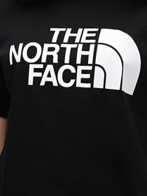 Футболки і поло The North Face Easy модель NF0A4T1RJK31 Фото