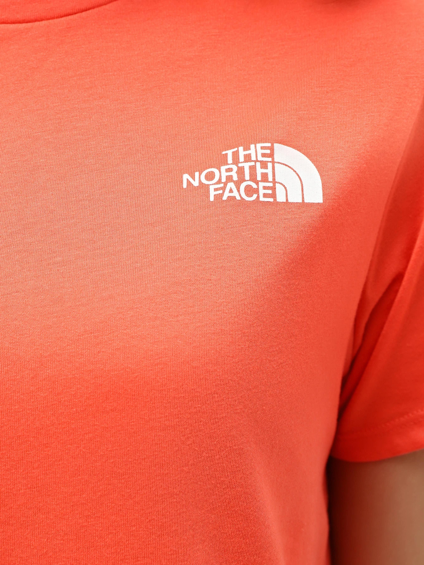 Футболки и поло The North Face Foundation Graphic модель NF0A55B2LV31 Футболки и поло The North Face Foundation Graphic модель NF0A55B2LV31 Фото