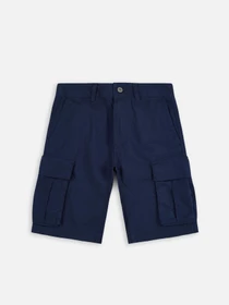 Шорты The North Face Anticline модель NF0A55B68K21 Фото