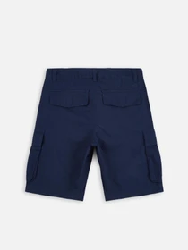 Шорты The North Face Anticline модель NF0A55B68K21 Фото