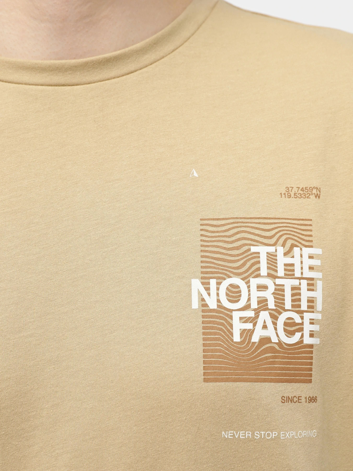Футболки і поло The North Face Foundation Graphic модель NF0A55EFLK51 Футболки і поло The North Face Foundation Graphic модель NF0A55EFLK51 Фото