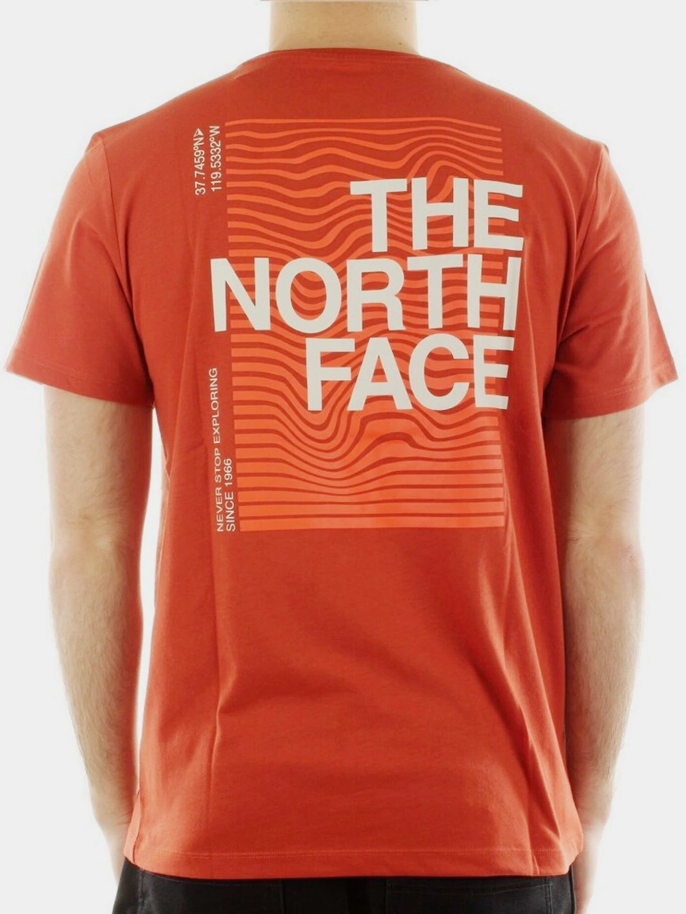 Футболки і поло The North Face модель NF0A55EFLV41 Футболки і поло The North Face модель NF0A55EFLV41 Фото