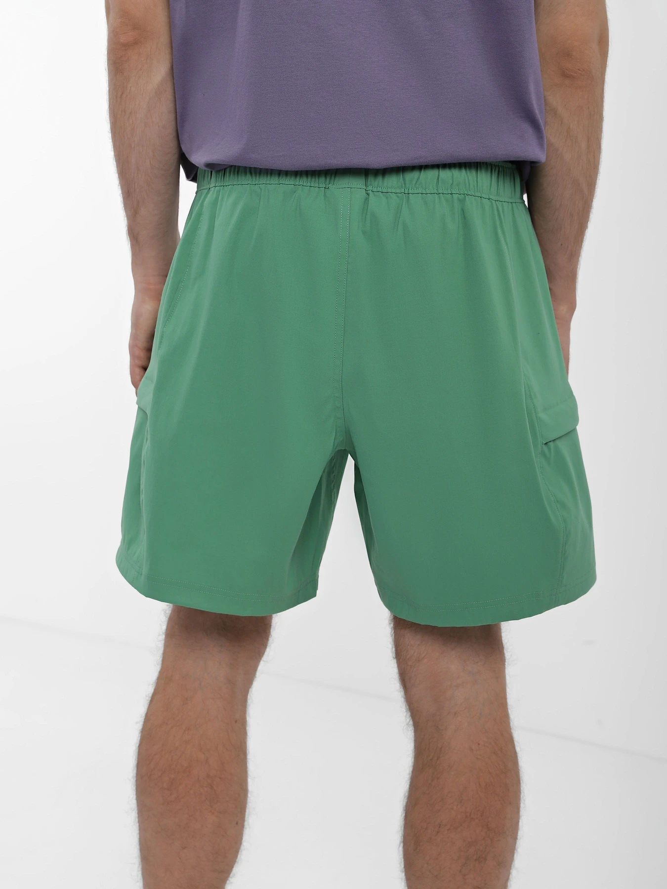 Шорти The North Face Class V Belt модель NF0A55V8N111 Шорти The North Face Class V Belt модель NF0A55V8N111 Фото