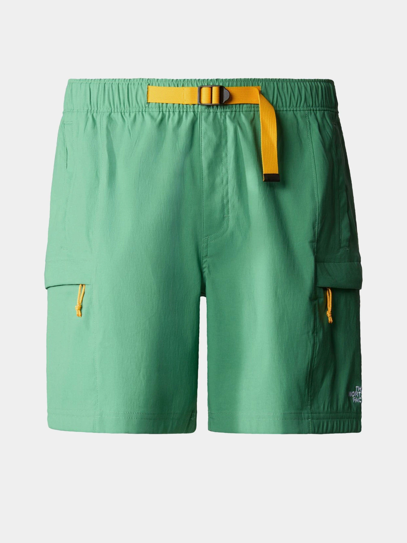 Шорти The North Face Class V Belt модель NF0A55V8N111 Шорти The North Face Class V Belt модель NF0A55V8N111 Фото