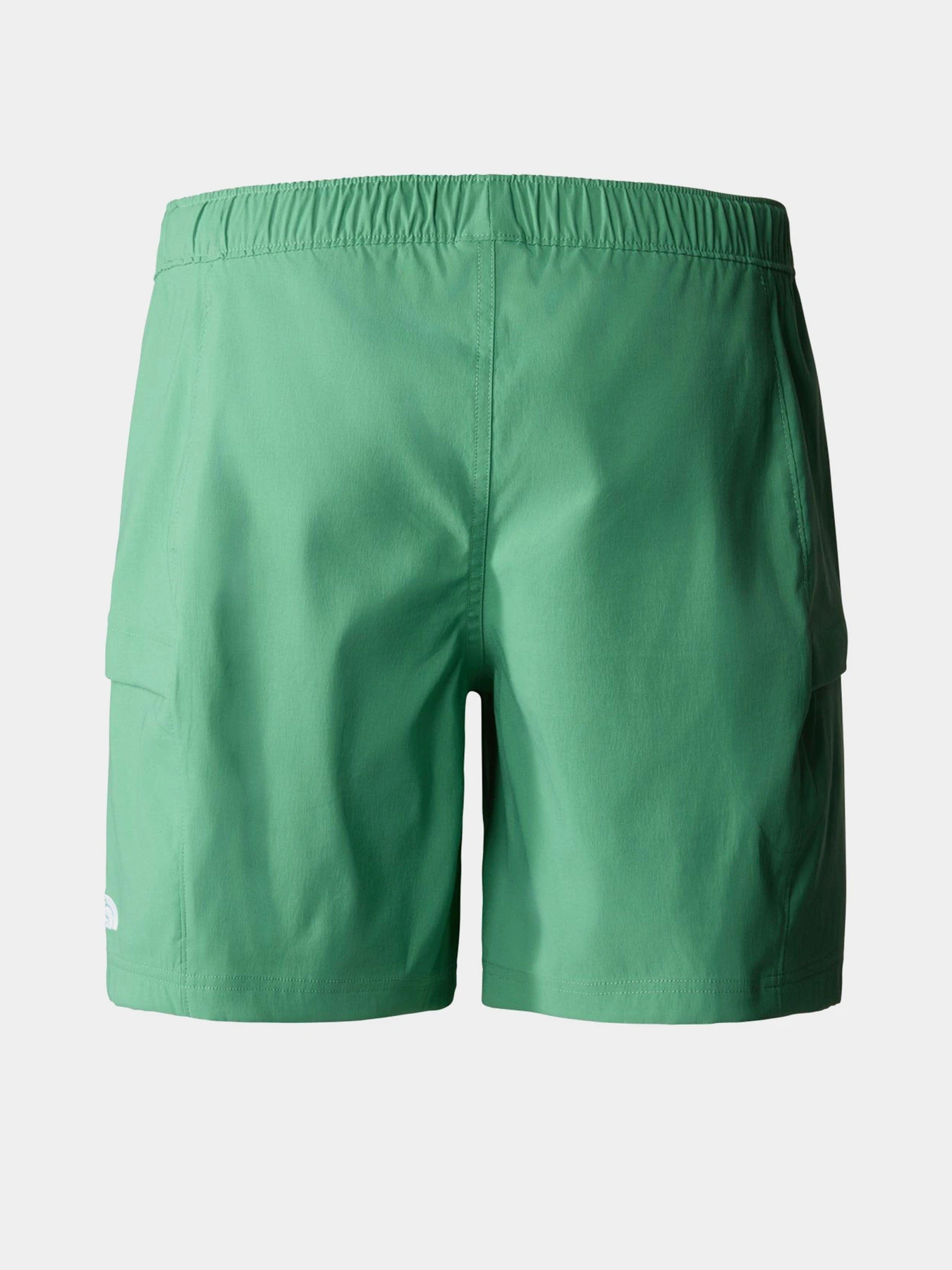 Шорти The North Face Class V Belt модель NF0A55V8N111 Шорти The North Face Class V Belt модель NF0A55V8N111 Фото