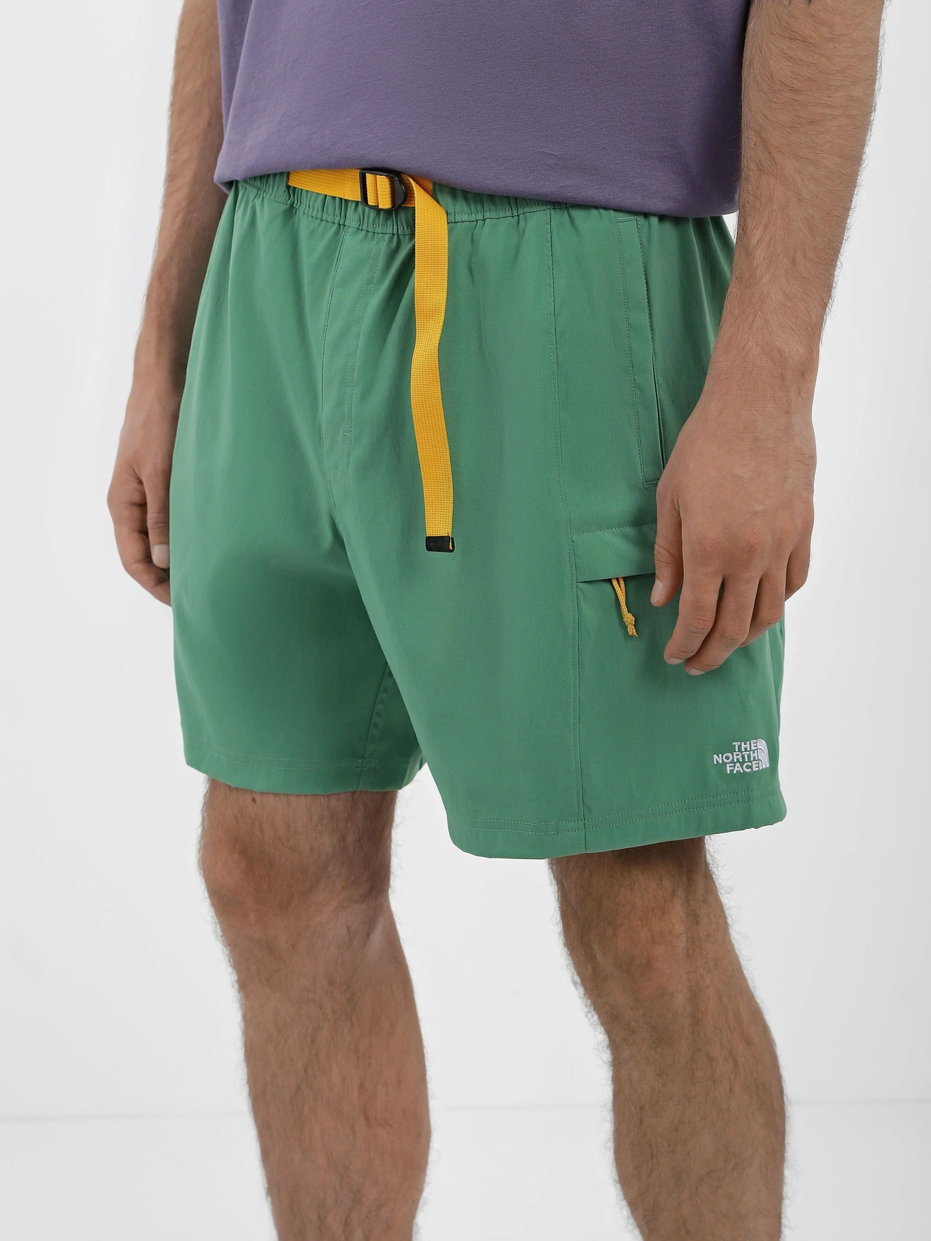 Шорти The North Face Class V Belt модель NF0A55V8N111 Шорти The North Face Class V Belt модель NF0A55V8N111 Фото