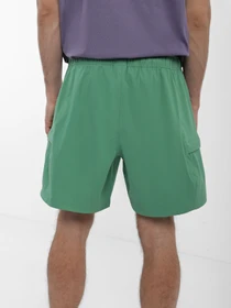 Шорти The North Face Class V Belt модель NF0A55V8N111 Фото