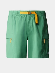 Шорти The North Face Class V Belt модель NF0A55V8N111 Фото