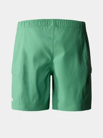 Шорти The North Face Class V Belt модель NF0A55V8N111 Фото
