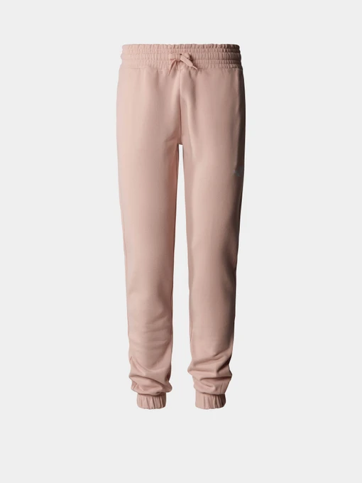 Брюки The North Face Standard модель NF0A5ID4LK61 Фото