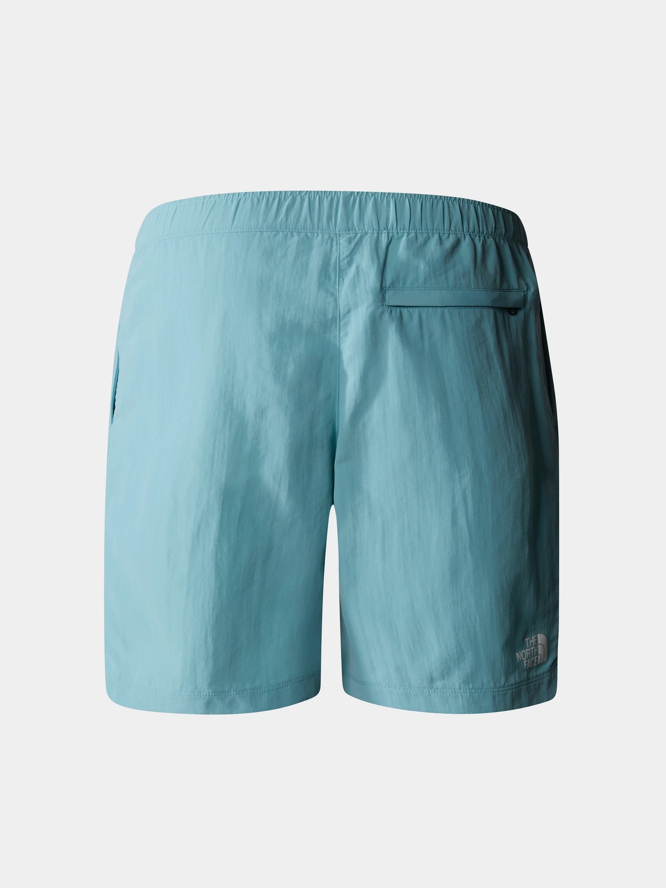 Шорты The North Face модель NF0A5IG5LV21 Фото