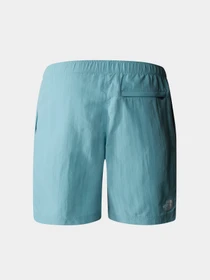 Шорты The North Face модель NF0A5IG5LV21 Фото