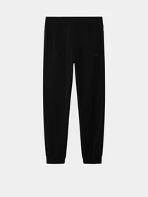 Брюки The North Face Femme модель NF0A5IGEJK31 Фото