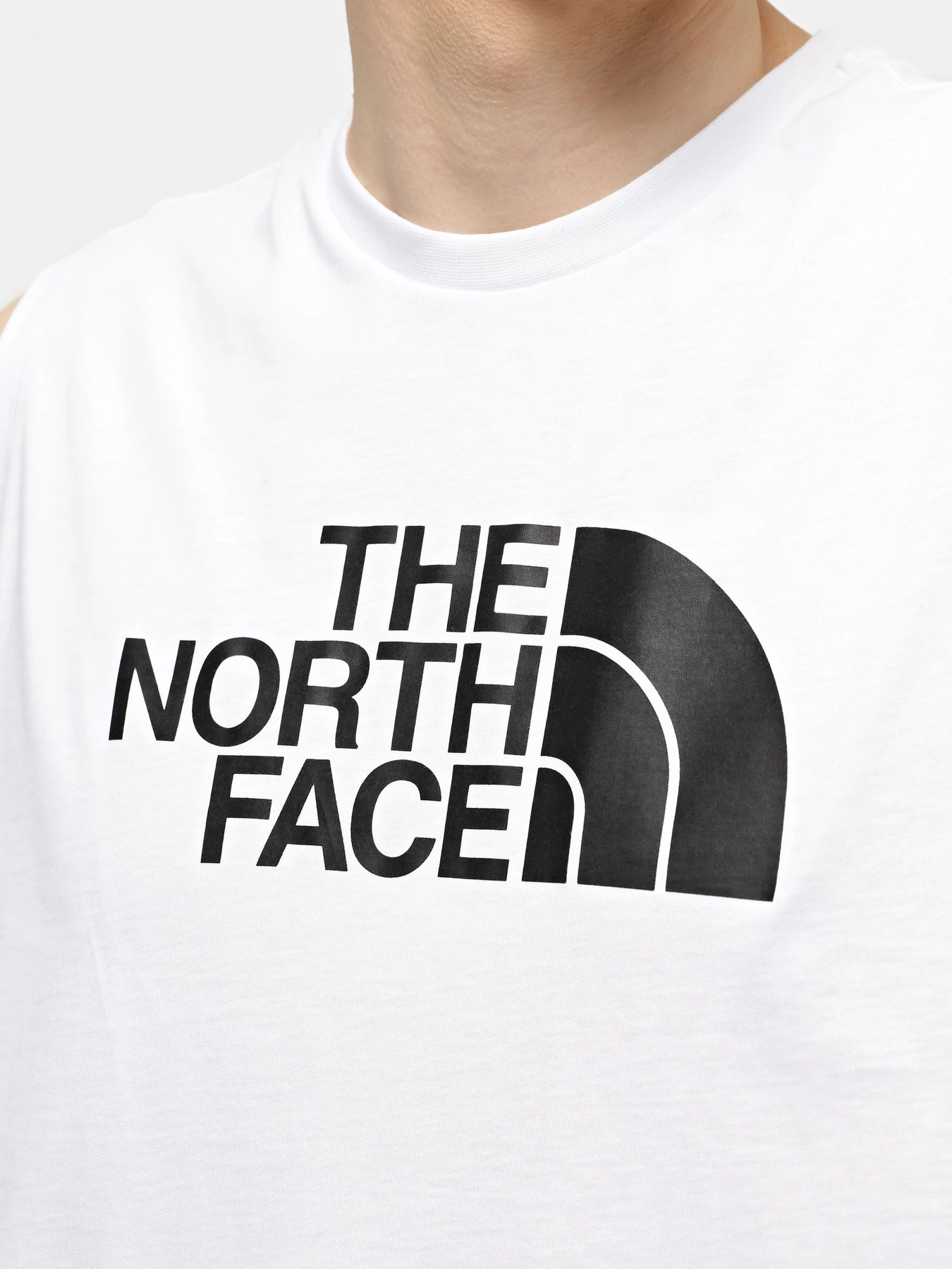 Футболки и поло The North Face модель NF0A5IGYFN41 Футболки и поло The North Face модель NF0A5IGYFN41 Фото