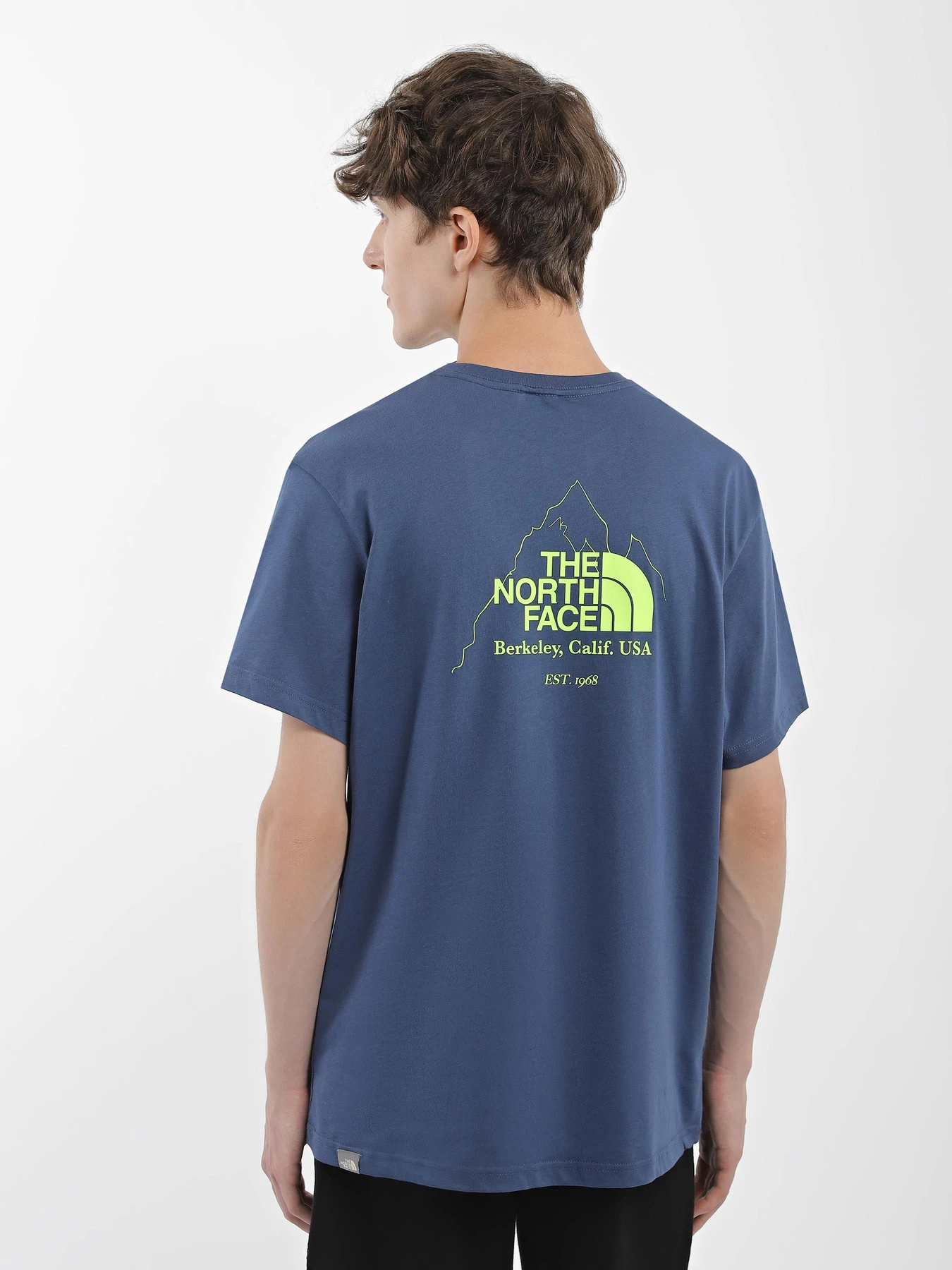 Футболки и поло The North Face Biner Graphic 4 модель NF0A7R4LHDC1 Футболки и поло The North Face Biner Graphic 4 модель NF0A7R4LHDC1 Фото