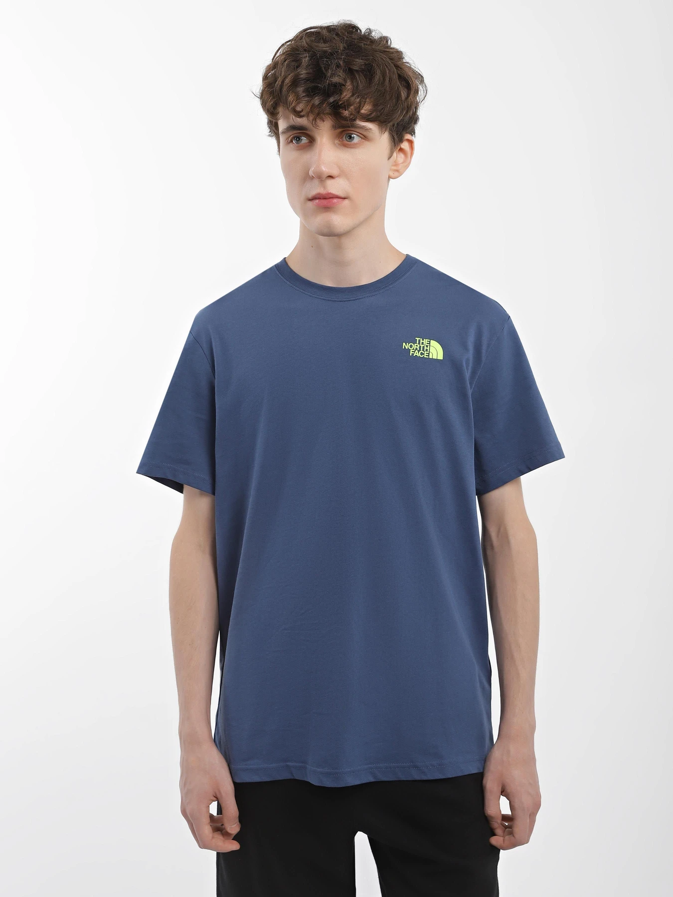 Футболки и поло The North Face Biner Graphic 4 модель NF0A7R4LHDC1 Футболки и поло The North Face Biner Graphic 4 модель NF0A7R4LHDC1 Фото