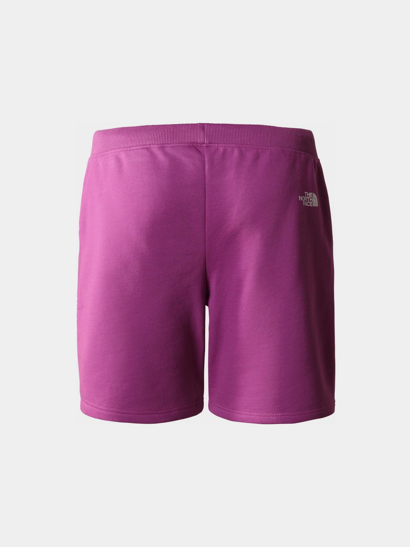 Шорты The North Face модель NF0A7SXFLV11 Фото