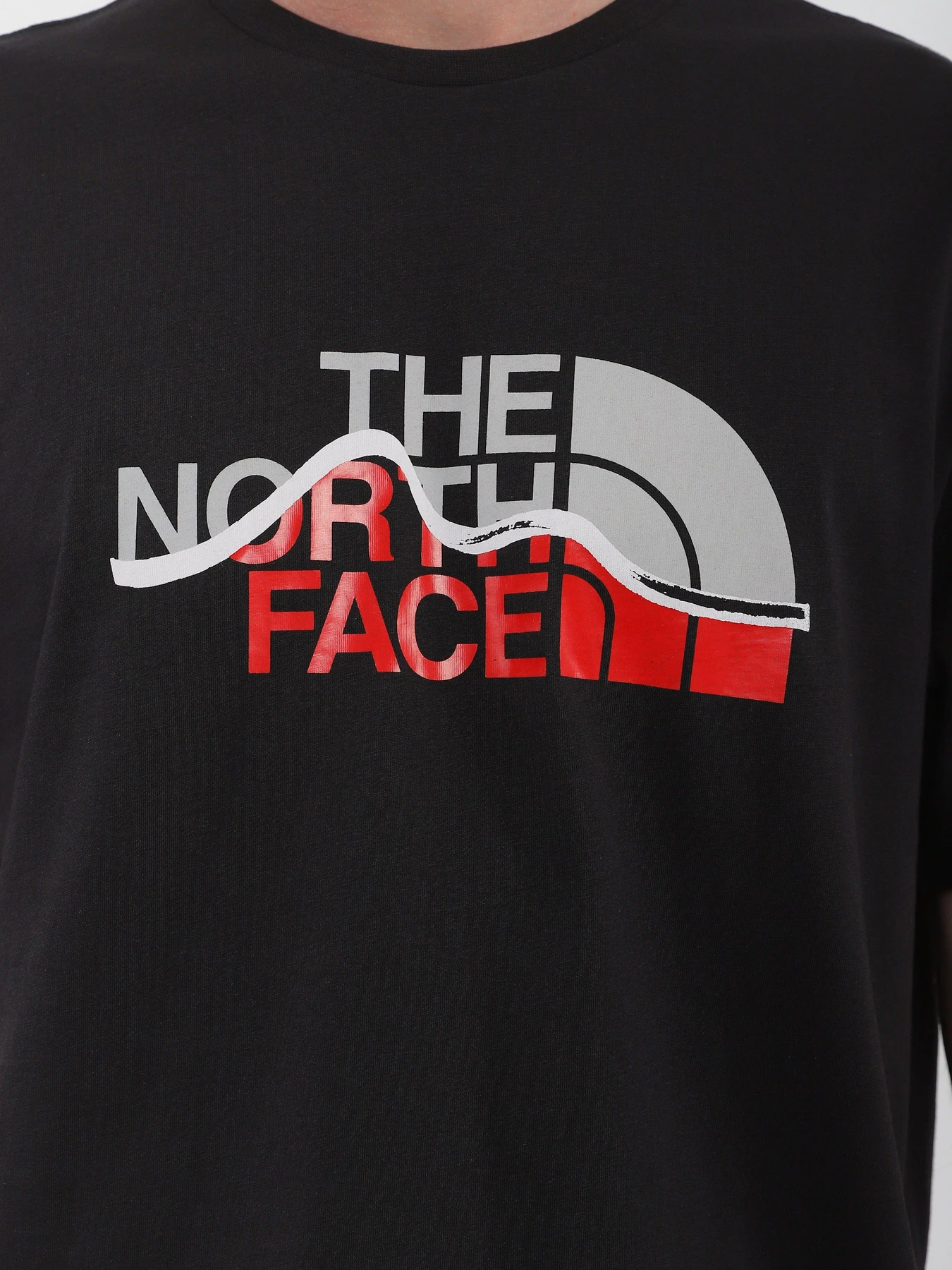 Футболки и поло The North Face Mountein Line модель NF0A7X1NJK31 Футболки и поло The North Face Mountein Line модель NF0A7X1NJK31 Фото