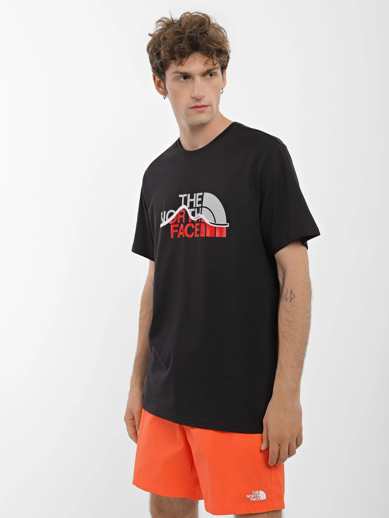 Футболки и поло The North Face Mountein Line модель NF0A7X1NJK31 Футболки и поло The North Face Mountein Line модель NF0A7X1NJK31 Фото