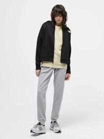 Худі та світшоти The North Face Reaxion Fleece модель NF0A7ZAAJK31 Фото