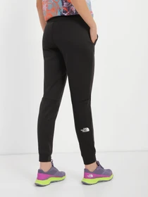 Брюки The North Face Reaxion модель NF0A7ZABJK31 Фото