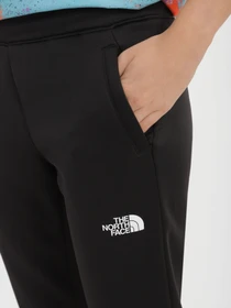 Брюки The North Face Reaxion модель NF0A7ZABJK31 Фото