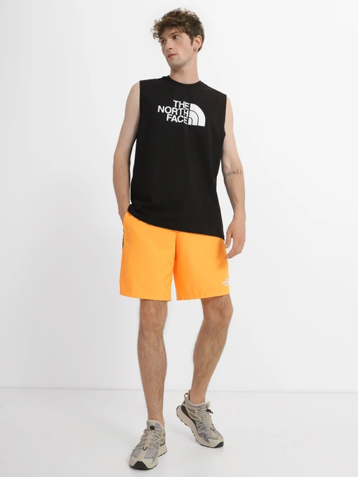 Шорты The North Face Mountain Athletics модель NF0A7ZAPISA1 Фото