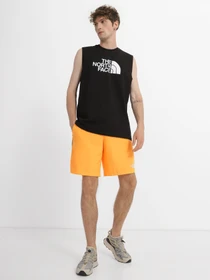 Шорты The North Face Mountain Athletics модель NF0A7ZAPISA1 Фото