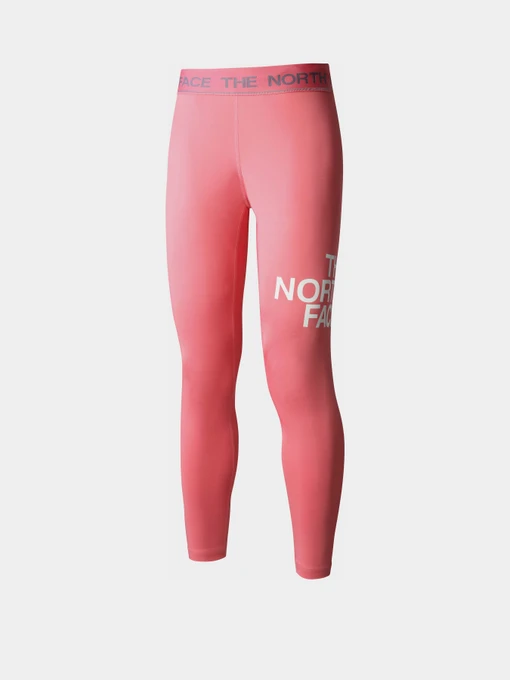 Брюки The North Face Flex модель NF0A7ZB7N0T1 Фото