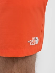 Шорты The North Face Class V Ripstop модель NF0A81X1LV31 Фото
