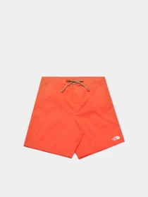 Шорты The North Face Class V Ripstop модель NF0A81X1LV31 Фото