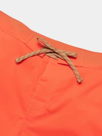 Шорты The North Face Class V Ripstop модель NF0A81X1LV31 Фото