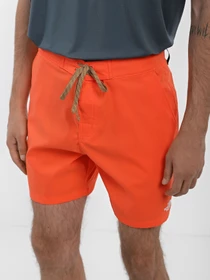 Шорты The North Face Class V Ripstop модель NF0A81X1LV31 Фото