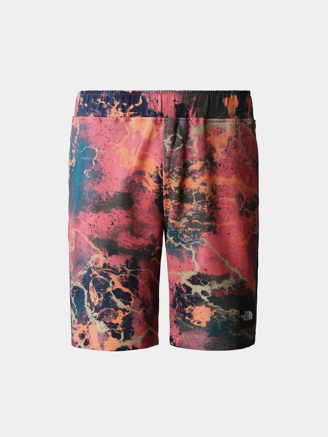 Шорты The North Face модель NF0A8237IOC1 Фото