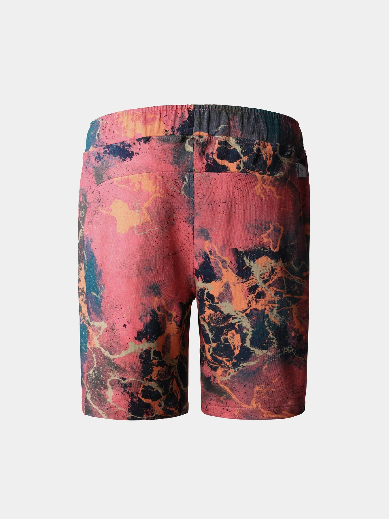 Шорты The North Face модель NF0A8237IOC1 Фото