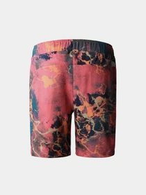 Шорты The North Face модель NF0A8237IOC1 Фото