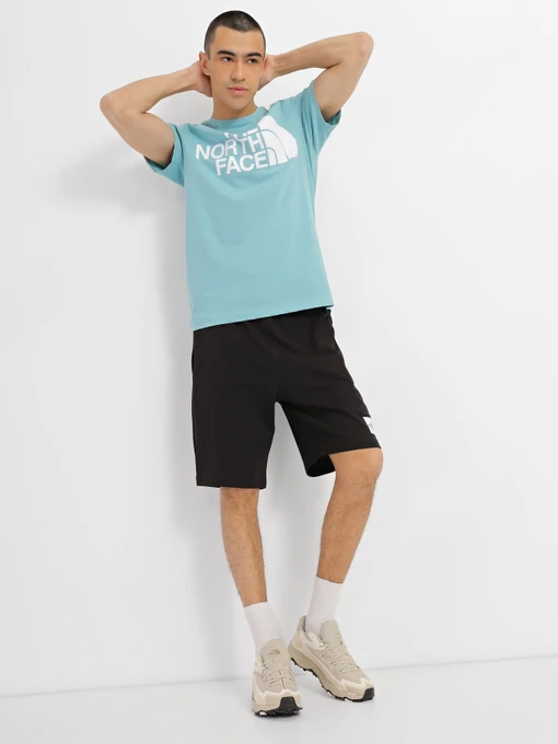 Шорты The North Face Summer Logo модель NF0A8237JK31 Фото