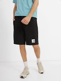 Шорты The North Face Summer Logo модель NF0A8237JK31 Фото