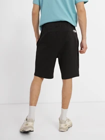 Шорты The North Face Summer Logo модель NF0A8237JK31 Фото