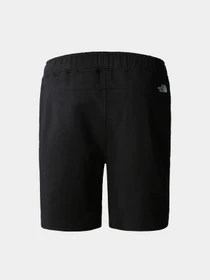 Шорты The North Face Summer Logo модель NF0A8237JK31 Фото