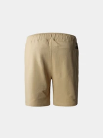 Шорты The North Face Summer Logo модель NF0A8237LK51 Фото