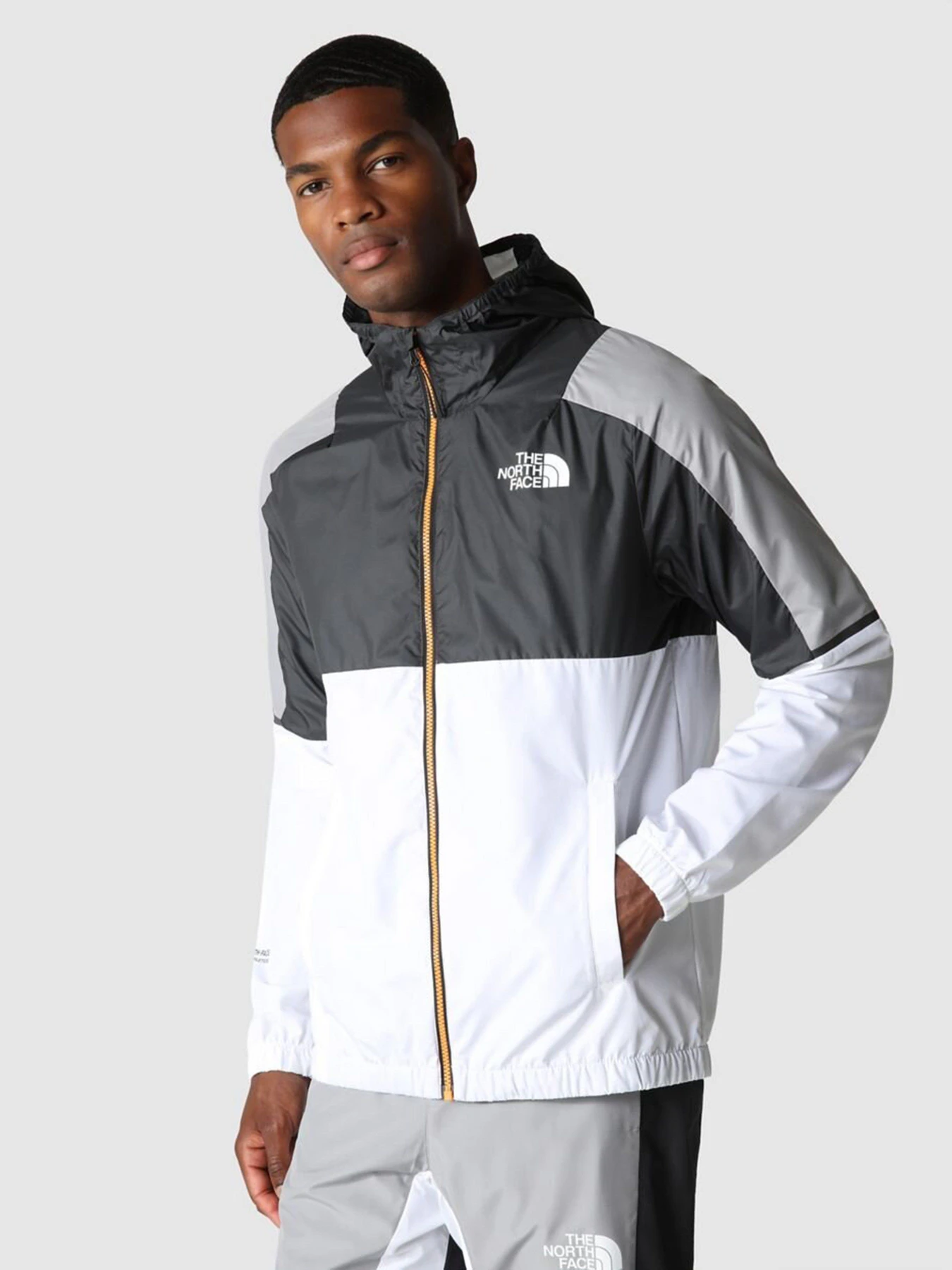Куртки и дубленки The North Face модель NF0A823XIKB1 Куртки и дубленки The North Face модель NF0A823XIKB1 Фото