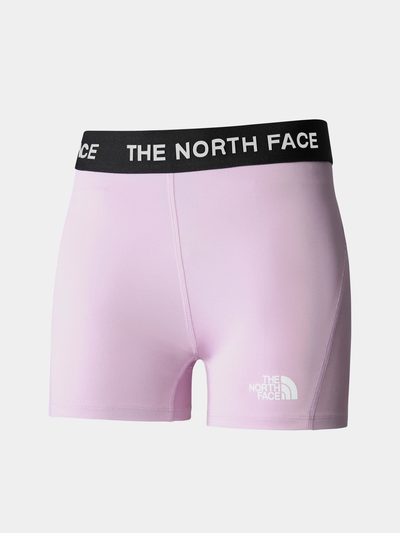 Шорти The North Face Training модель NF0A824NHCP1 Шорти The North Face Training модель NF0A824NHCP1 Фото
