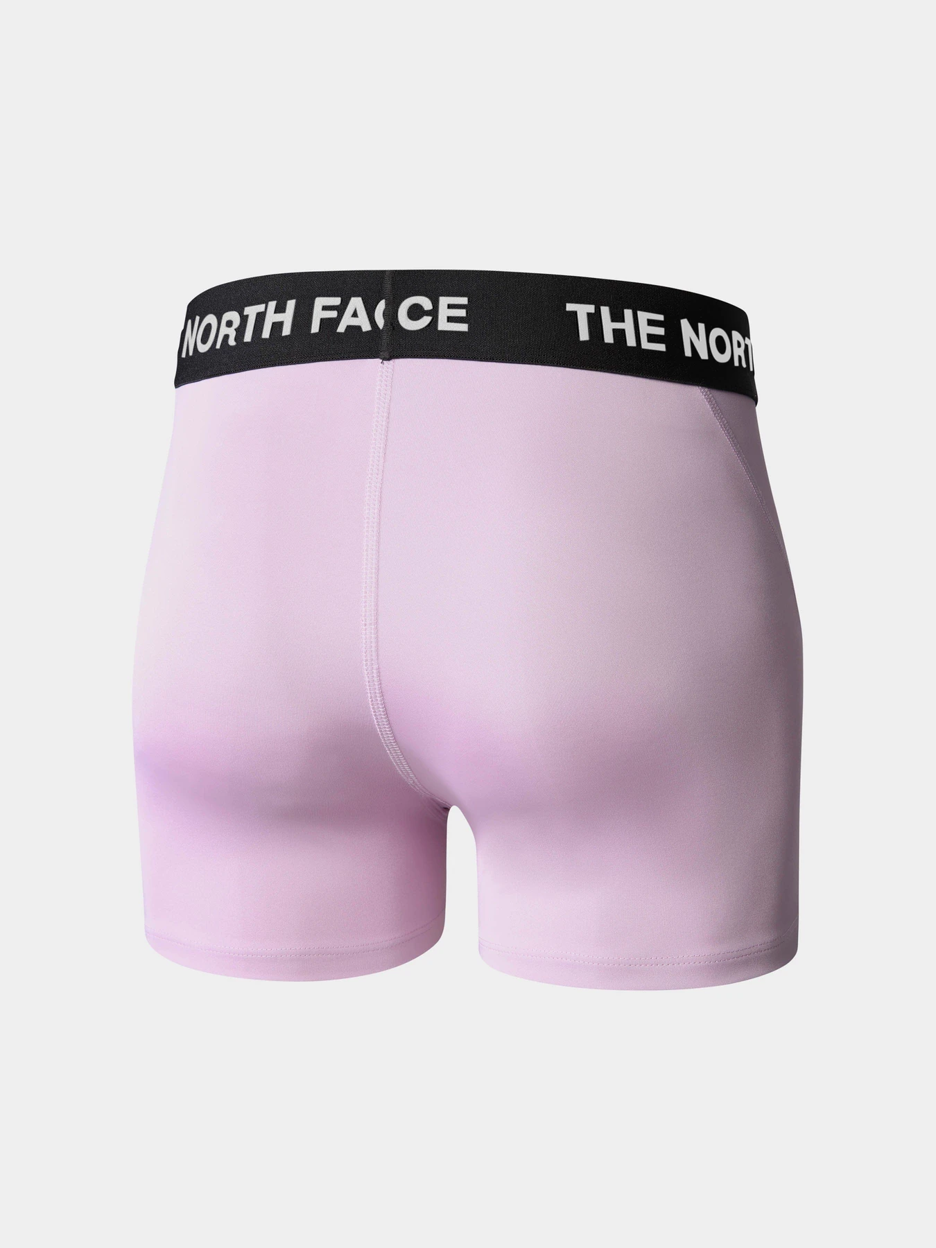 Шорти The North Face Training модель NF0A824NHCP1 Шорти The North Face Training модель NF0A824NHCP1 Фото